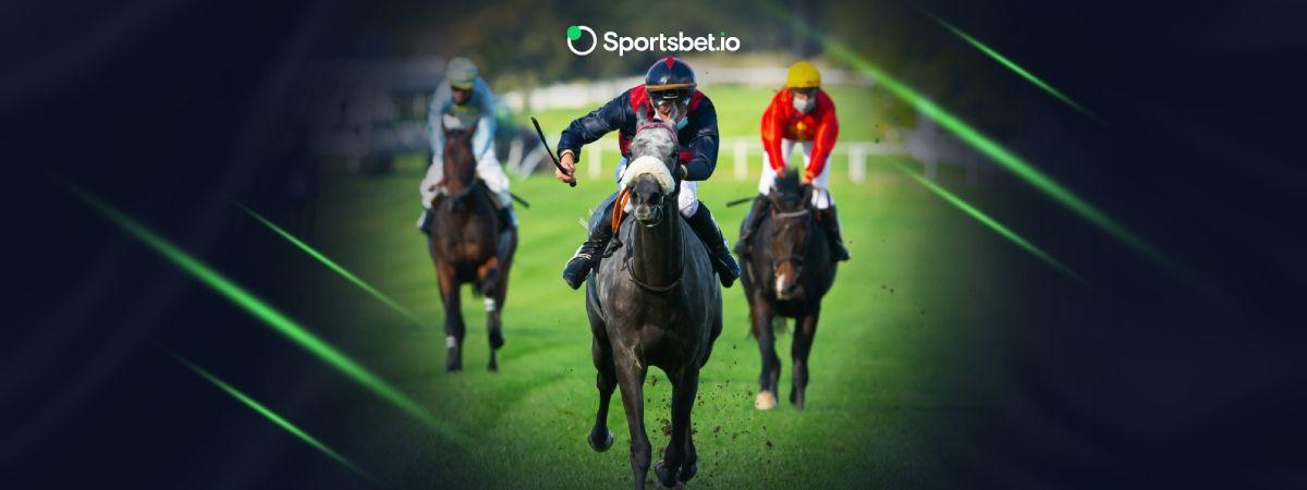 競馬オッズの見方をスポーツベットアイオーで学ぼう！