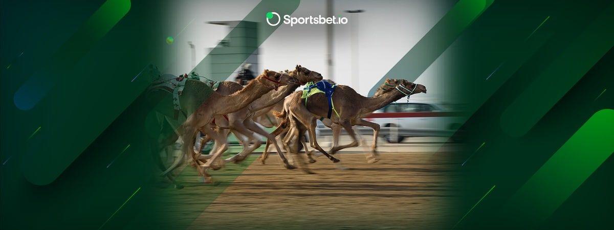 Les plus rapides et les plus poilus : les courses de chameaux dans le monde arabe